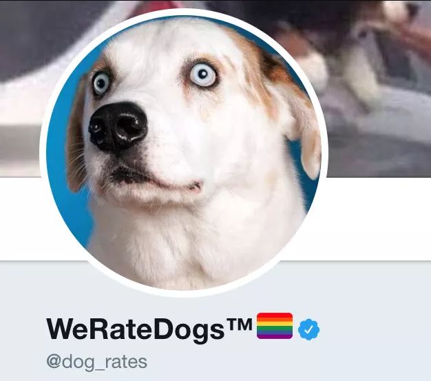 twitter weratedogs